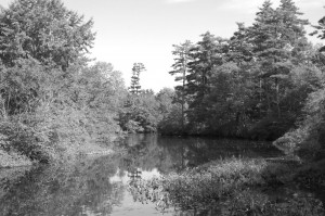 Funny Quotes a Separate Peace