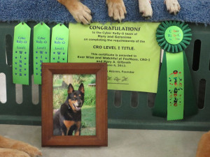 Displaying 17> Images For - Geronimo Quotes Life...