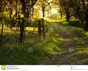 Stock Images: Old Country Dirt Road