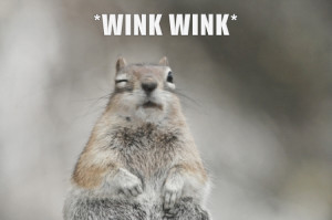 Photograph by My Shot photographer edb15 . Kids can submit their own ...