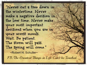 cut a tree down in the wintertime. Never make a decision in the low ...