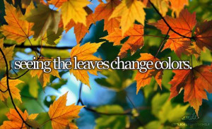 Seeing the leaves change color