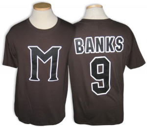 Mystery Alaska Hockey Jersey