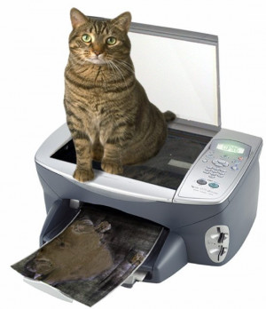 cat is sitting on a copier printing out a copy of her butt