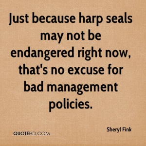 ... Now, That’s No Excuse For Bad Management Policies. - Sheryl Fink