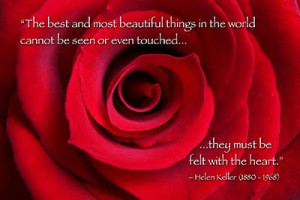 Red Rose with Helen Keller Quote - My Vision