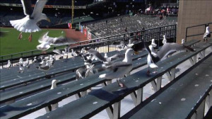 The San Francisco Giants can win a World Series, but they have yet to ...