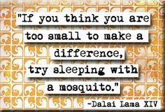 dalai lama you are never too small More