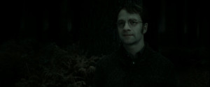 ... James ( Harry-Potter-7-Deathly-Hallows-Part-2-lily-and-james-potter