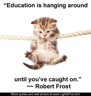 images of albert einstein quotes education pictures learning kootation ...