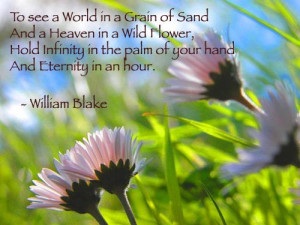 To see a world in a grain of sand,