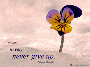 Never, never, never give up Quote