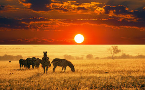 Afrika Landschaft Und Tiere im Afrika Reiseführer @ abenteurer.net