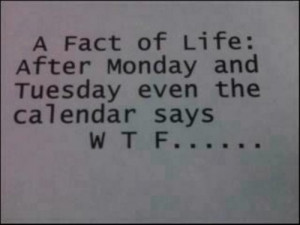 tumblr ky02minqGI1qzysyno1 500 Monday Humor: Even HR needs a laugh!