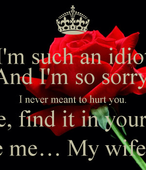 such an idiot And I'm so sorry, I never meant to hurt you. Please ...
