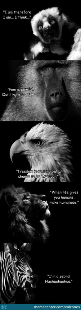 Inspirational Animal Quotes