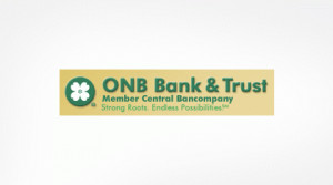 Leading Banking and Financial Services Company Logo