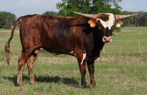 Look at me grow! 40TTT @ 13 months!!