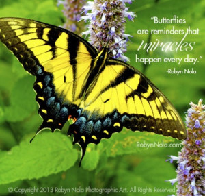 ... are reminders that miracles happen every day.” –Robyn Nola