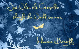 Butterfly Quotes