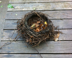 Related Pictures empty nest