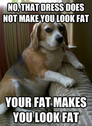 rude beagle calls you fat