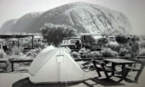 coroner ruled Tuesday that a dingo, a wild dog native to Australia ...