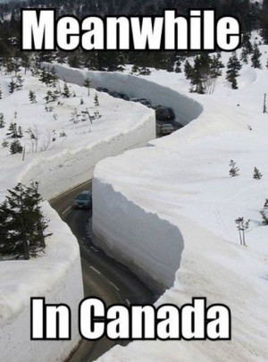 Funniest Snow Memes Ever