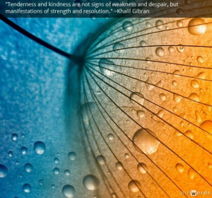 Tenderness and kindness are not signs of weakness and despair, but ...