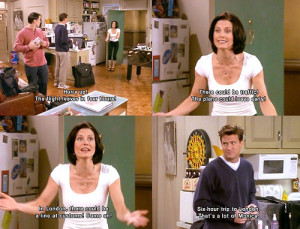 Monica Geller - monica-geller Fan Art