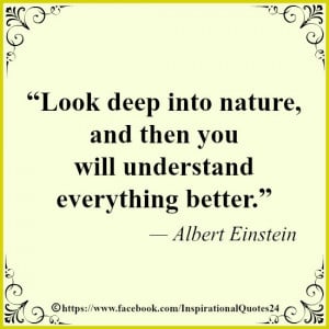 Life Quotes: Life Quote of Albert Einstein: Look deep into nature