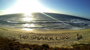 An anti-shark cull message left by protesters on a Perth beach. Photo ...