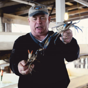Sifting Through Life: Crabs and Cambridge, MD.