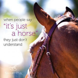 hate when people say that! Horses are friends, members of the family ...
