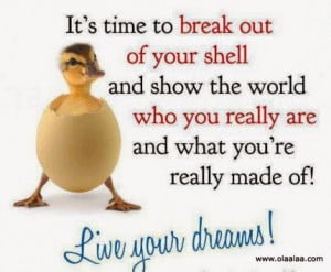 It's time to breakout of your shell and show the world who you really ...