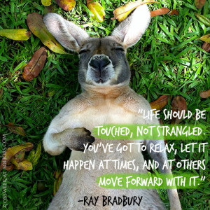 AOL.com About Us Follow Us :