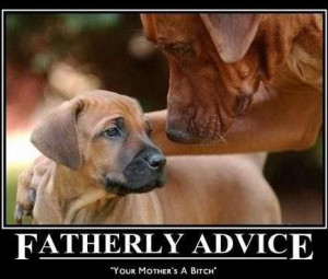 Fatherly Advice