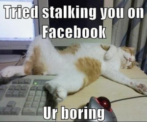 Stalking Meme
