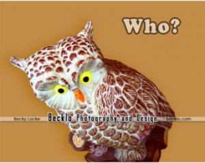Popular items for owl sayings