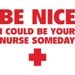 be_nice_i_could_be_your_nurse_someday_round_car_m.jpg?height=250&width ...