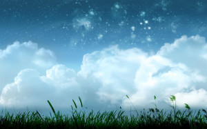 Shining Stars Above The Grassy Field wallpapers