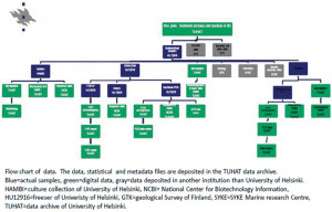 Statistical Test Flow Chart