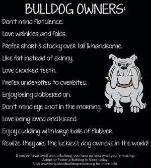 Funny English Bulldog Pictures With Sayings Bulldog owner :-)
