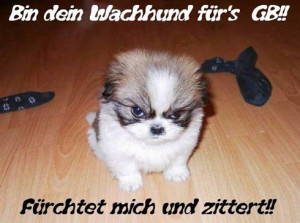 Lustig - Myspace Kommentare, Grafiken, Musik und Nachrichten.