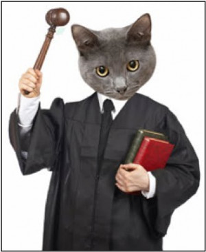 My cat excused me from jury duty.