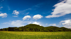 Funny Quotes Contact Dmca