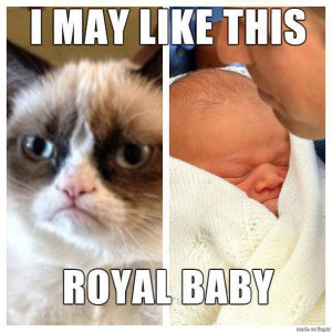 But, enough chatter from me, check out the latest Grumpy Cat Memes ...