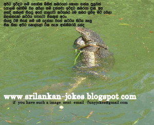 Jokes Sms Sinhala