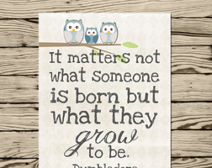 Harry Potter Dumbledore quote poster print It matters not what someone ...