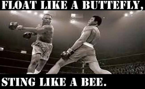 Floating Like A Butterfly The Lolbrary New Funny Random Pictures ...